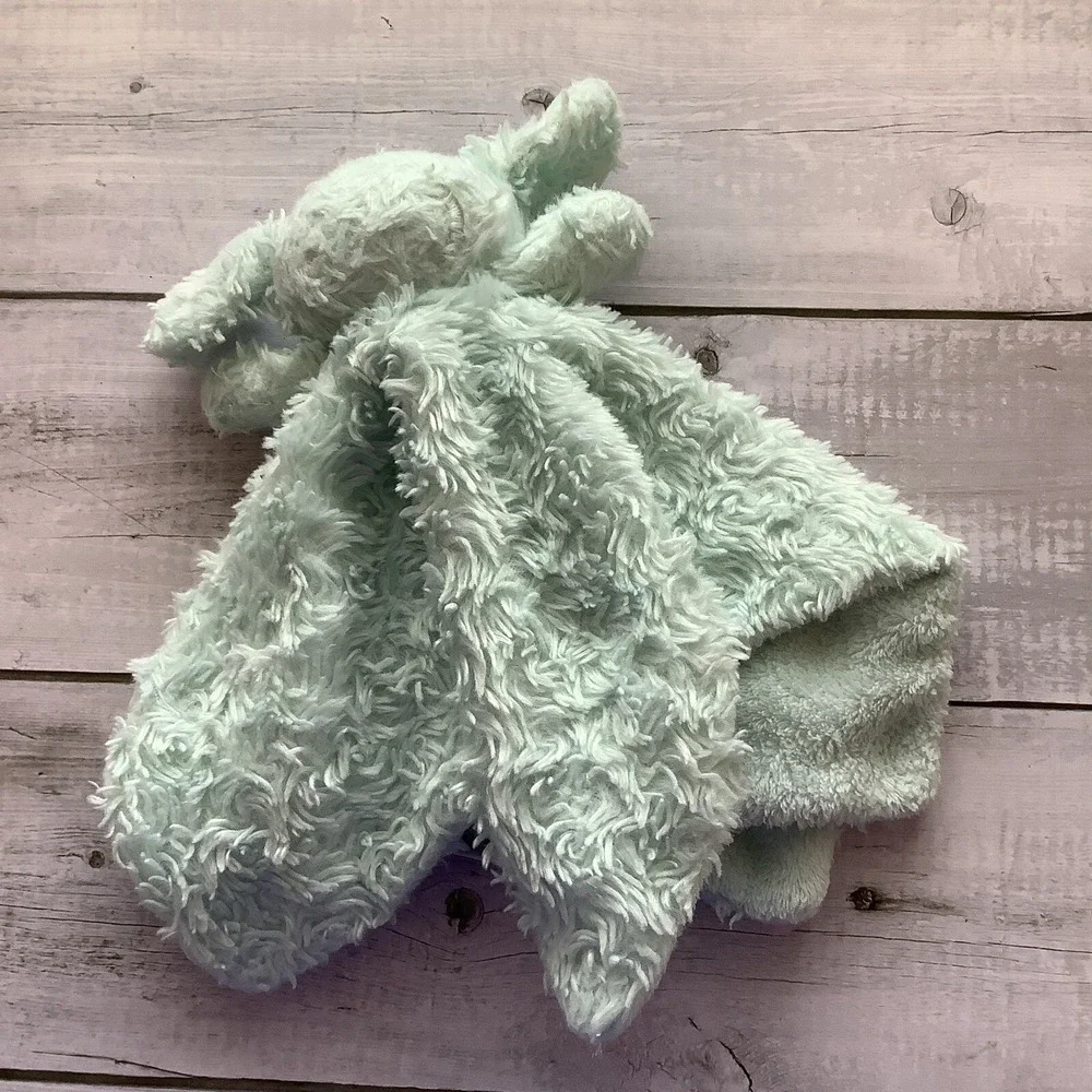 Blankets & Beyond‎ Mint Green Bunny Rabbit Lovey Security Baby Rosettes